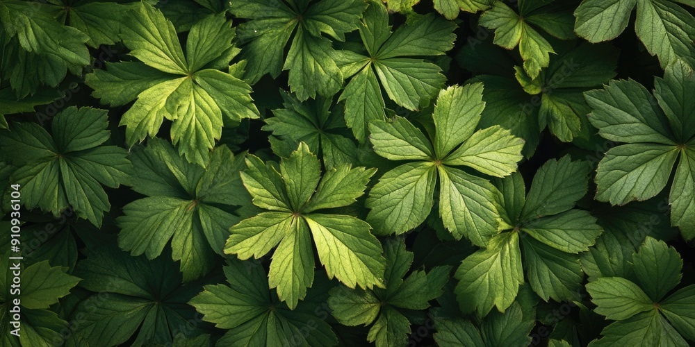 Close-up of green leaves Close-up of green leaves