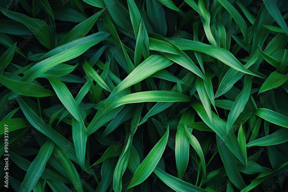 Close-up of green leaves Close-up of green leaves