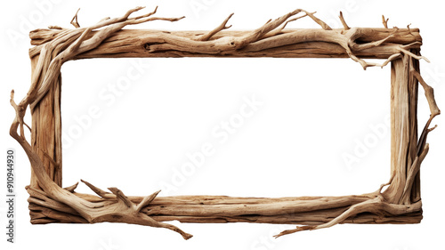 Frame of driftwood trees isolated on transparent and white background. Tree branch. PNG.