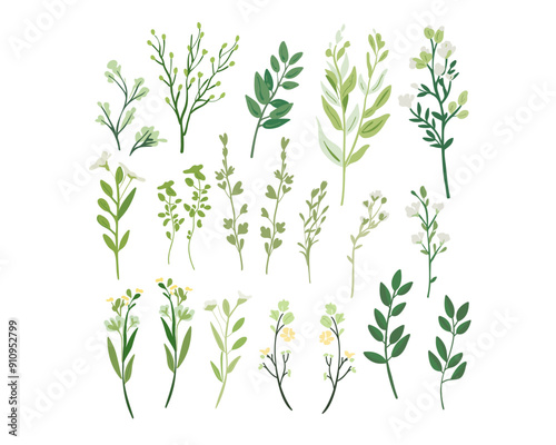 Wallpaper Mural Set of tender green young twigs with leaves Torontodigital.ca