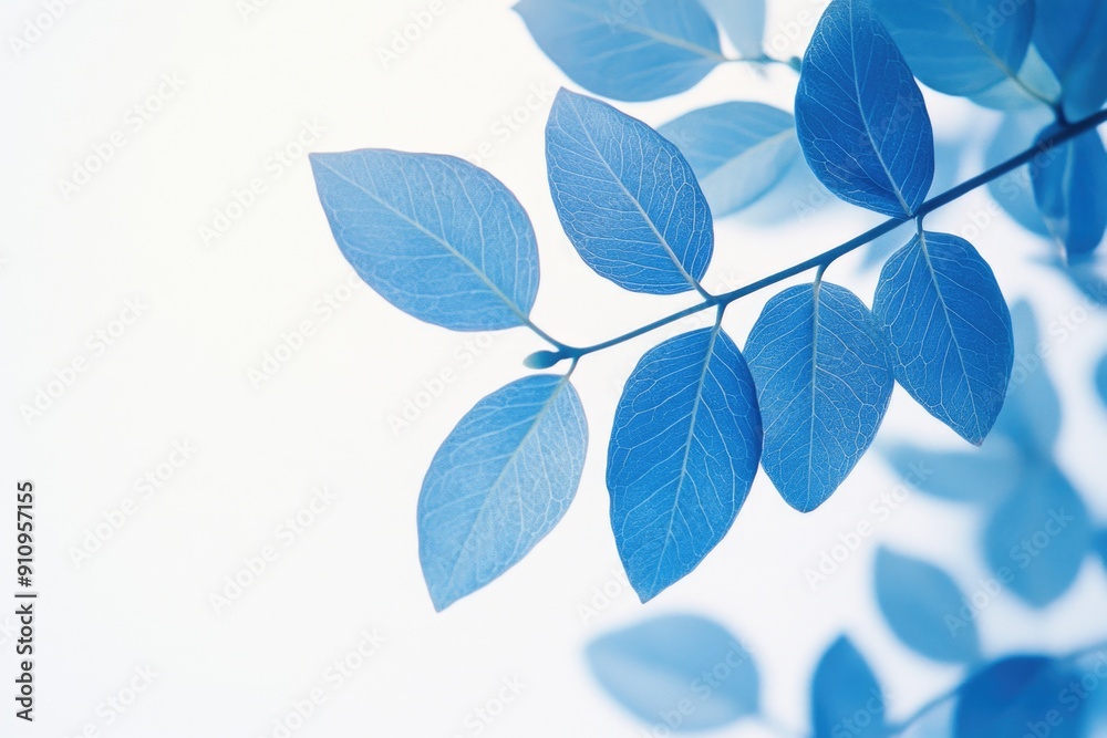 Blue Leaf Plant Close-Up