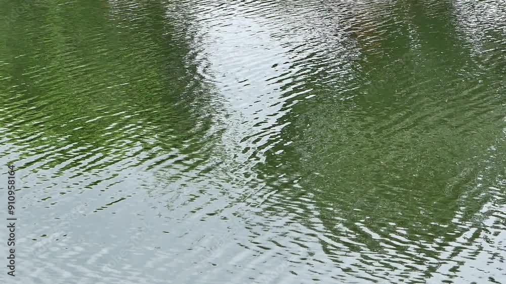 A natural stream that flows slowly. A natural stream that flows slowly.