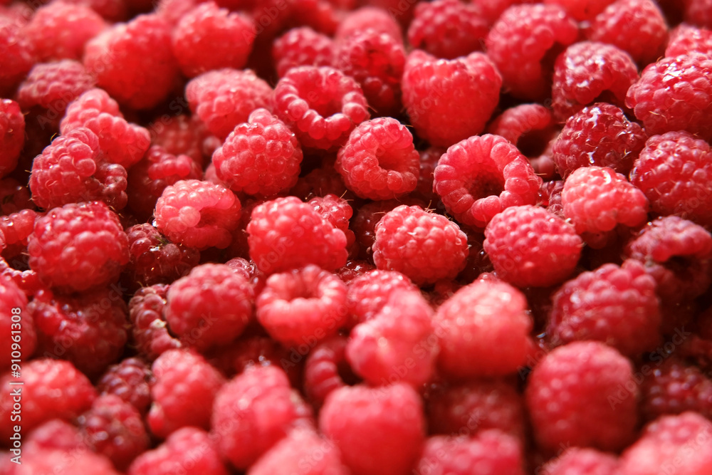 Sweet raspberry background. Full frame of fresh raspberries. Red ripe berry photo wallpaper closeup. Juicy berries. Vegetarian, vegan raw food. Organic bio product. From farm to table. Fruit pattern Sweet raspberry background. Full frame of fresh raspberries. Red ripe berry photo wallpaper closeup. Juicy berries. Vegetarian, vegan raw food. Organic bio product. From farm to table. Fruit pattern