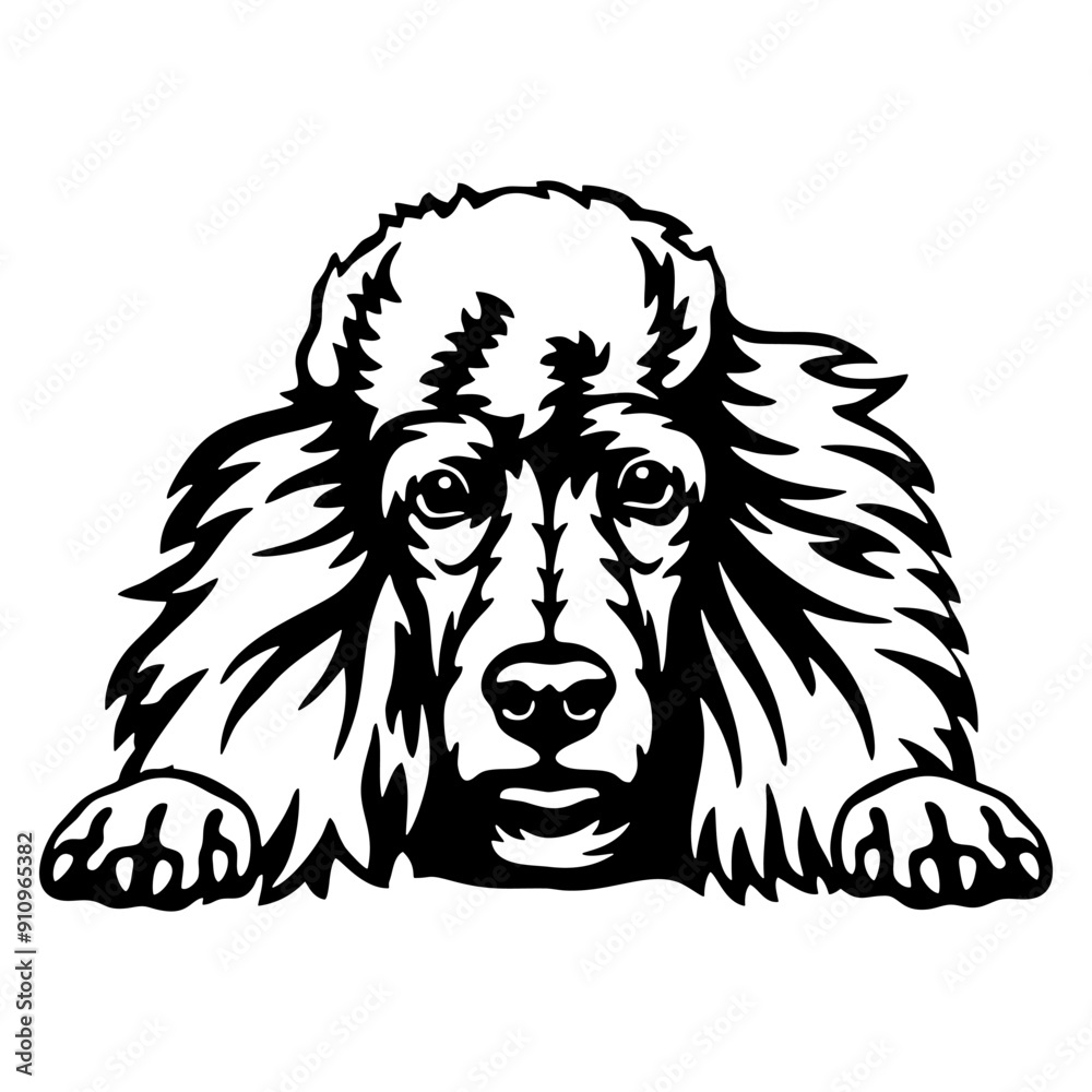 Fototapeta premium Peeking Poodle - Dog lover owner gift - Dog cut file - Peeking Dog Cut Stencil