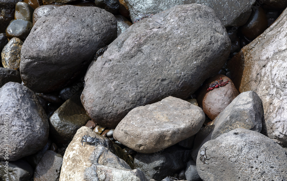 Coastal rocks with a small crabs in the middle. Rocks are grey and black, and the creature is red and black Coastal rocks with a small crabs in the middle. Rocks are grey and black, and the creature is red and black