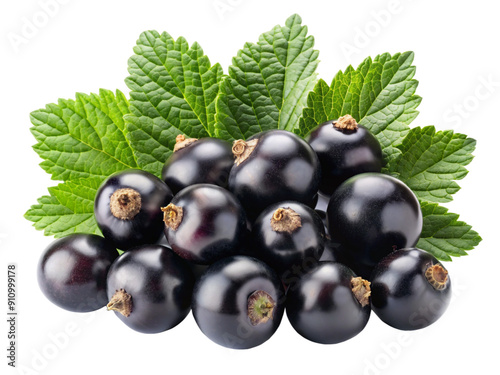 Black-currants fruit png images. fruits images transparent background