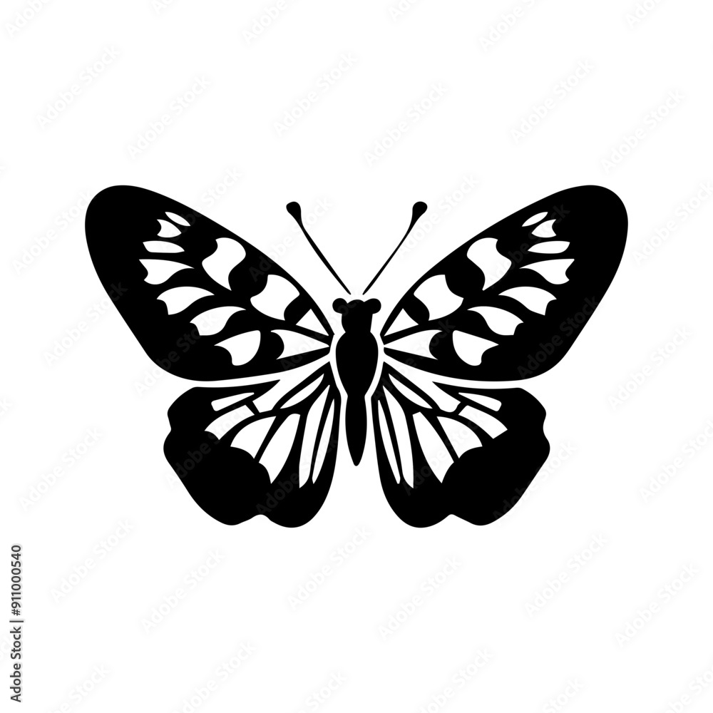 Obraz premium animal