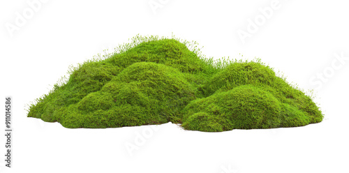 Green Mossy Hill isolated on transparent png photo