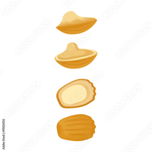 Vector Illustration Logo Clip Art Set of a French Madeleine Cookies