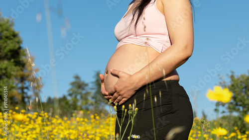 Pregnant woman belly a field of flowers photo