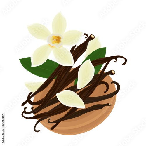 Vector illustration logo clip art orchid vanilla flower and pods levitation
