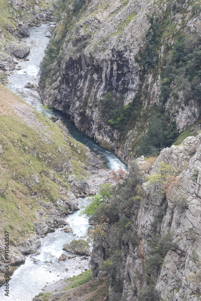 Picos de Europa (Asturias) Picos de Europa (Asturias)