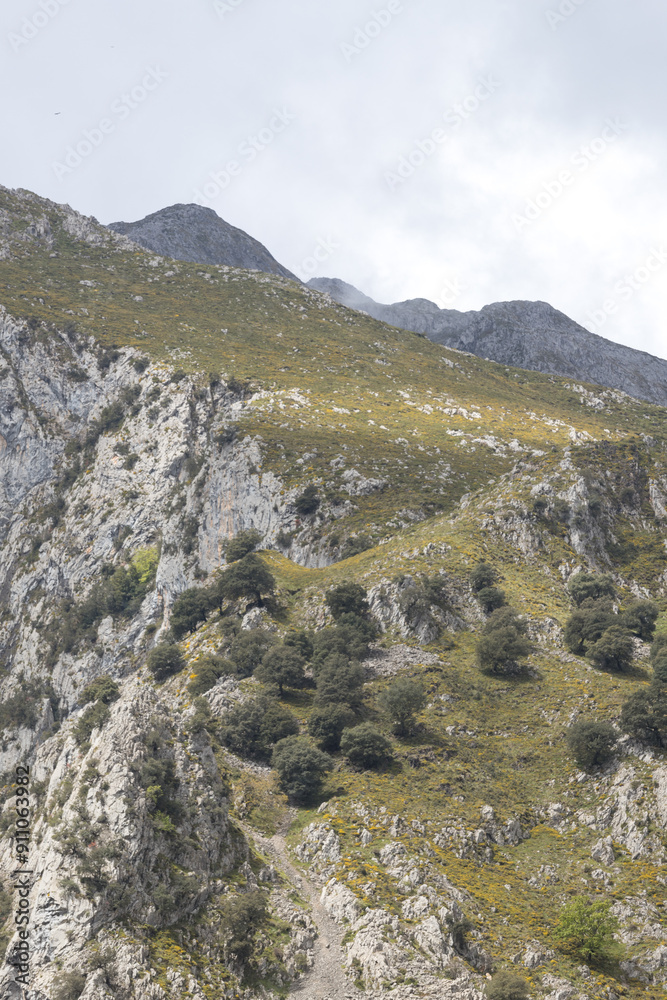 Obraz premium Picos de Europa (Asturias)