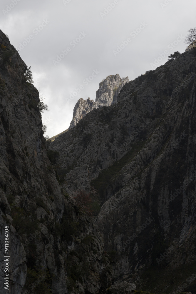 Picos de Europa (Asturias) Picos de Europa (Asturias)