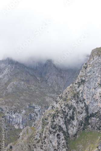 Picos de Europa (Asturias)