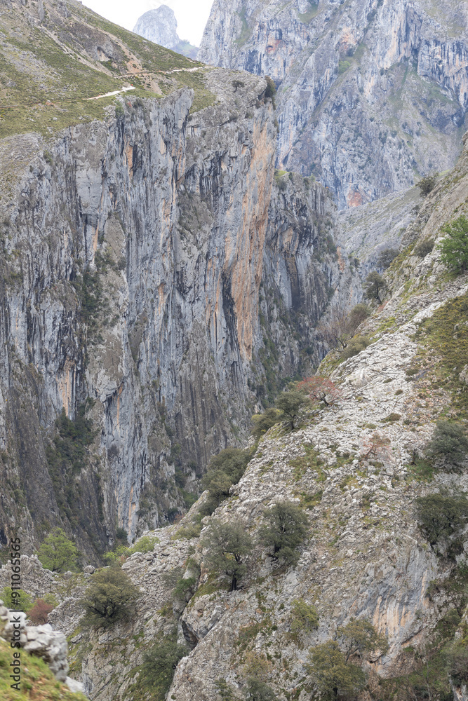 Picos de Europa (Asturias) Picos de Europa (Asturias)