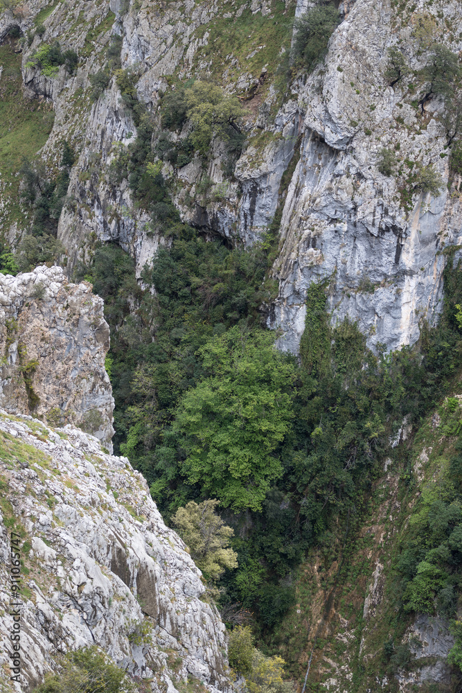 Picos de Europa (Asturias) Picos de Europa (Asturias)