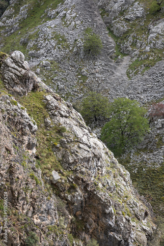 Picos de Europa (Asturias)