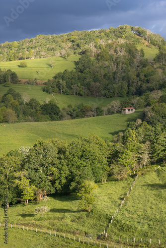 Picos de Europa (Asturias) photo