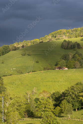 Picos de Europa (Asturias) photo