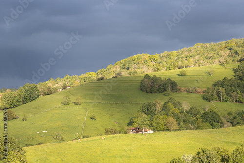 Picos de Europa (Asturias) photo