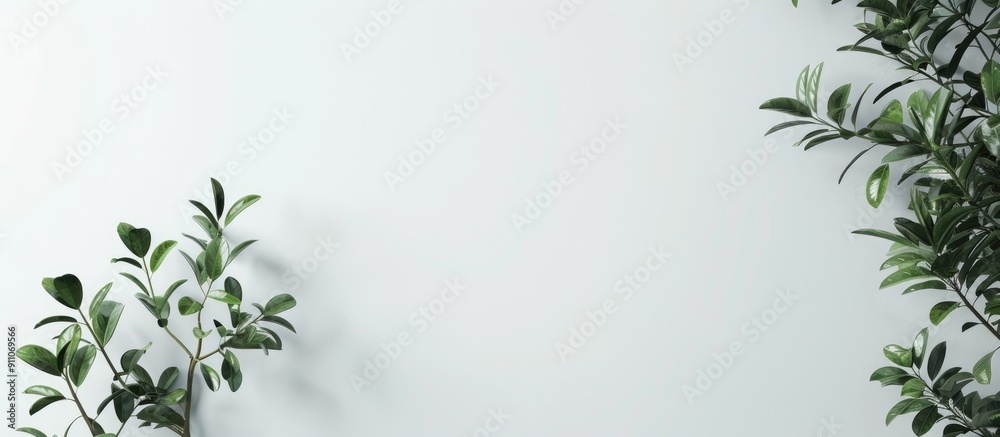 Premium white wall background ideal for mockups design previews banners posters featuring ample copy space image Premium white wall background ideal for mockups design previews banners posters featuring ample copy space image