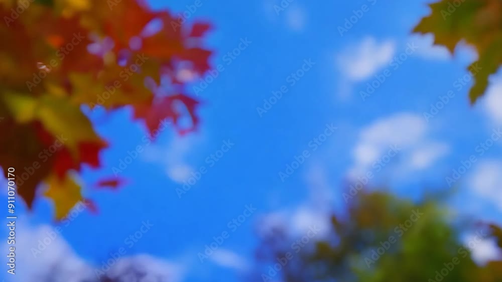 Blue Sky with White Clouds Timelapse Over Autumn Forest