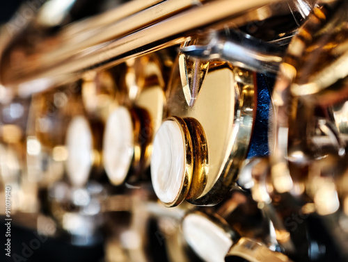 Wall Mural Macro picture of Soprano saxophone in the carrying case, Popular professional Ja