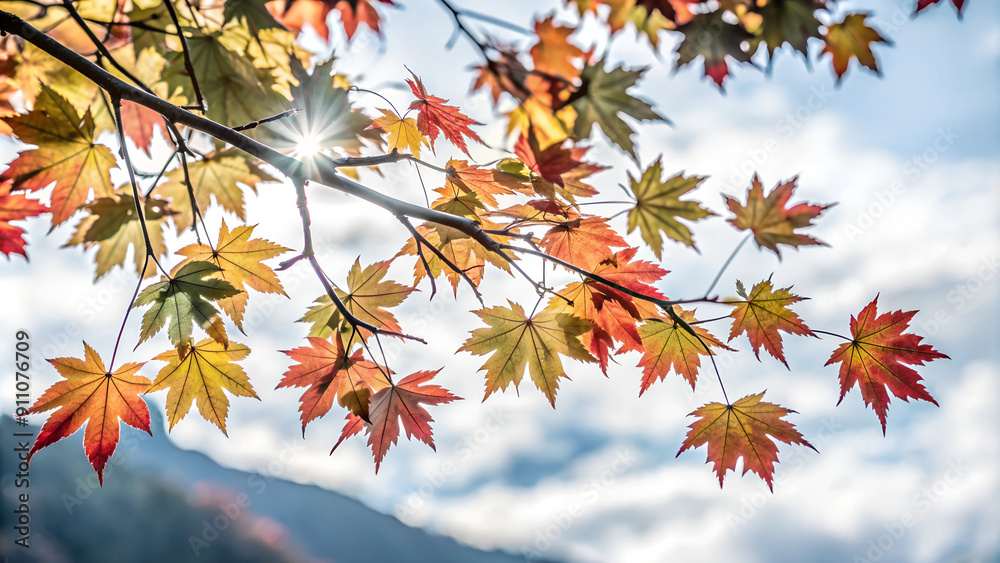 Background with Bright Autumn Leaves on Branch and Water Background with Bright Autumn Leaves on Branch and Water