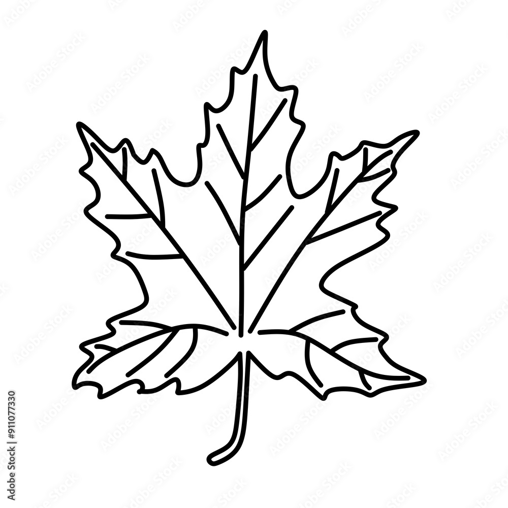Fototapeta premium maple leaf silhouette in transparent png