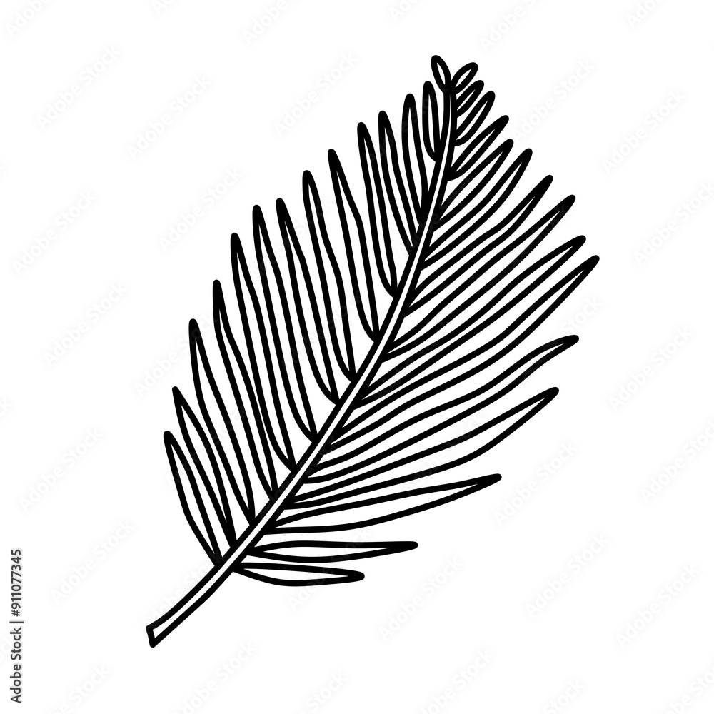 Fototapeta premium Drawing of palm in transparent png