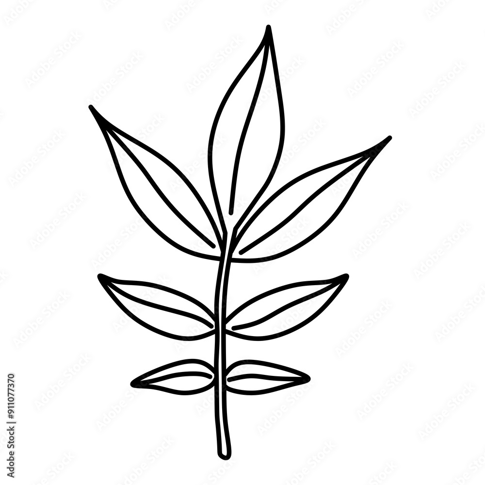 silhouette of a leaf, Drawing of leaves in transparent png silhouette of a leaf, Drawing of leaves in transparent png