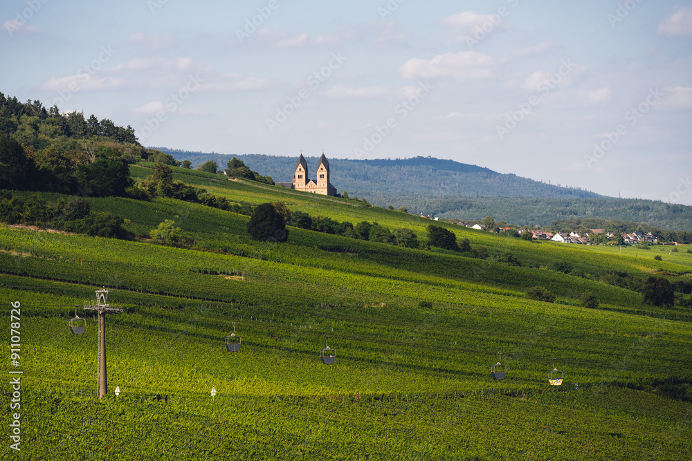 Blick über die Weinberge in Rüdesheim zum Kloster Hildegard, August 2024