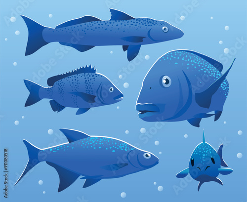 Vector illustration of river fish. Perch, bream, crucian carp vector