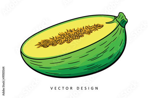 fresh honeydew melon vector design isolated illustration