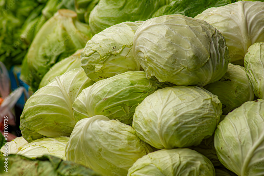 Group of green cabbages at market in Thailand. Group of green cabbages at market in Thailand.