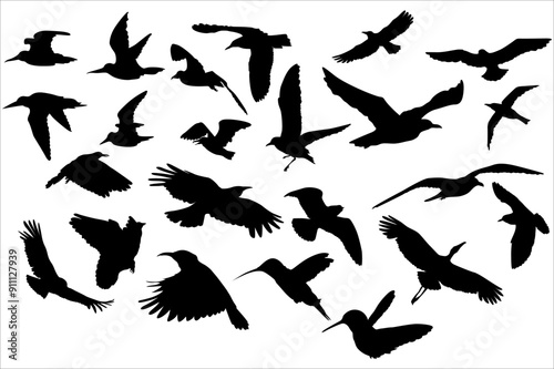 Set Of Silhouette of a Bird in Flight for Design Decoration