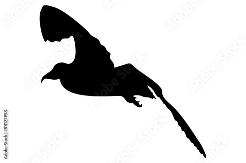 Silhouette of a Bird in Flight for Design Decoration