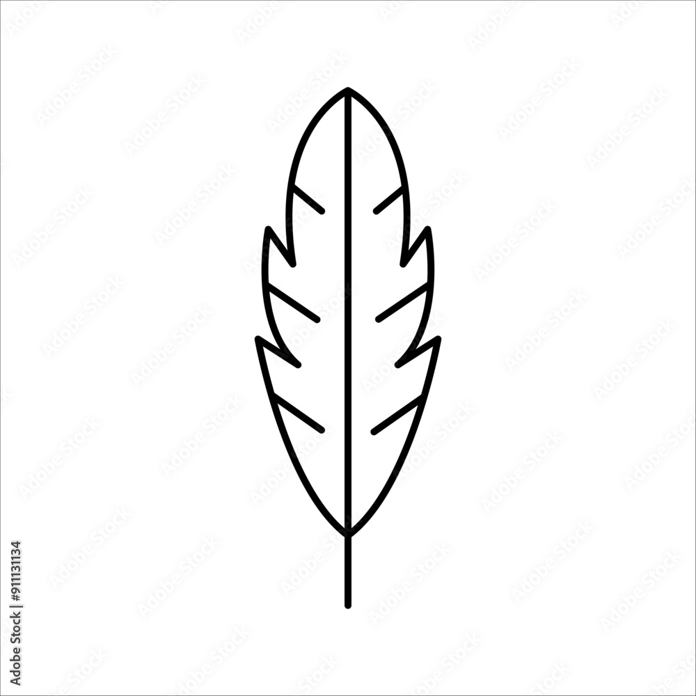 feather feather