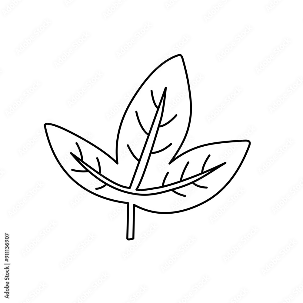 outline of tropical leaf outline of tropical leaf