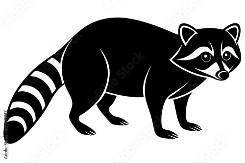 Raccoon silhouette, black raccoon vector illustration