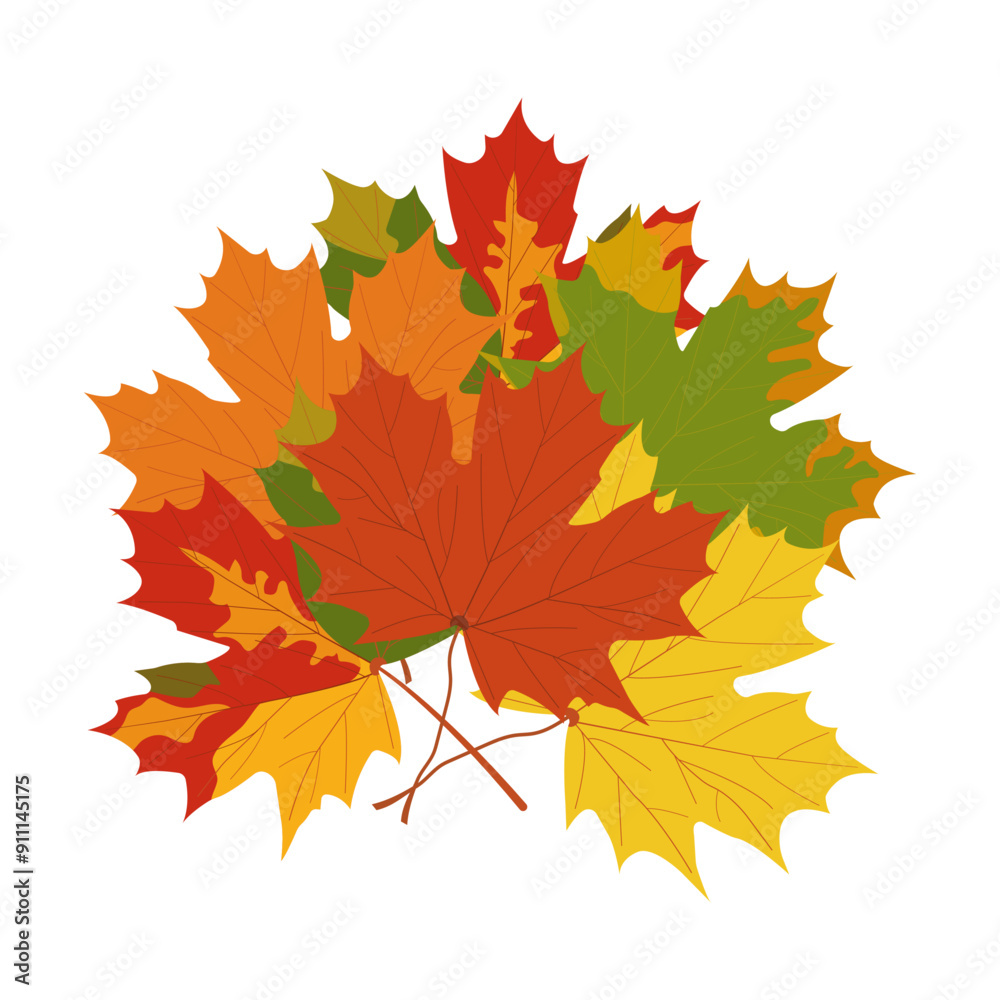 Bouquet of autumn leaves. Red, yellow and orange maple leaves. Bouquet isolated on transparent and white background. Close-up element for nature design decoration. Vector flat illustration.