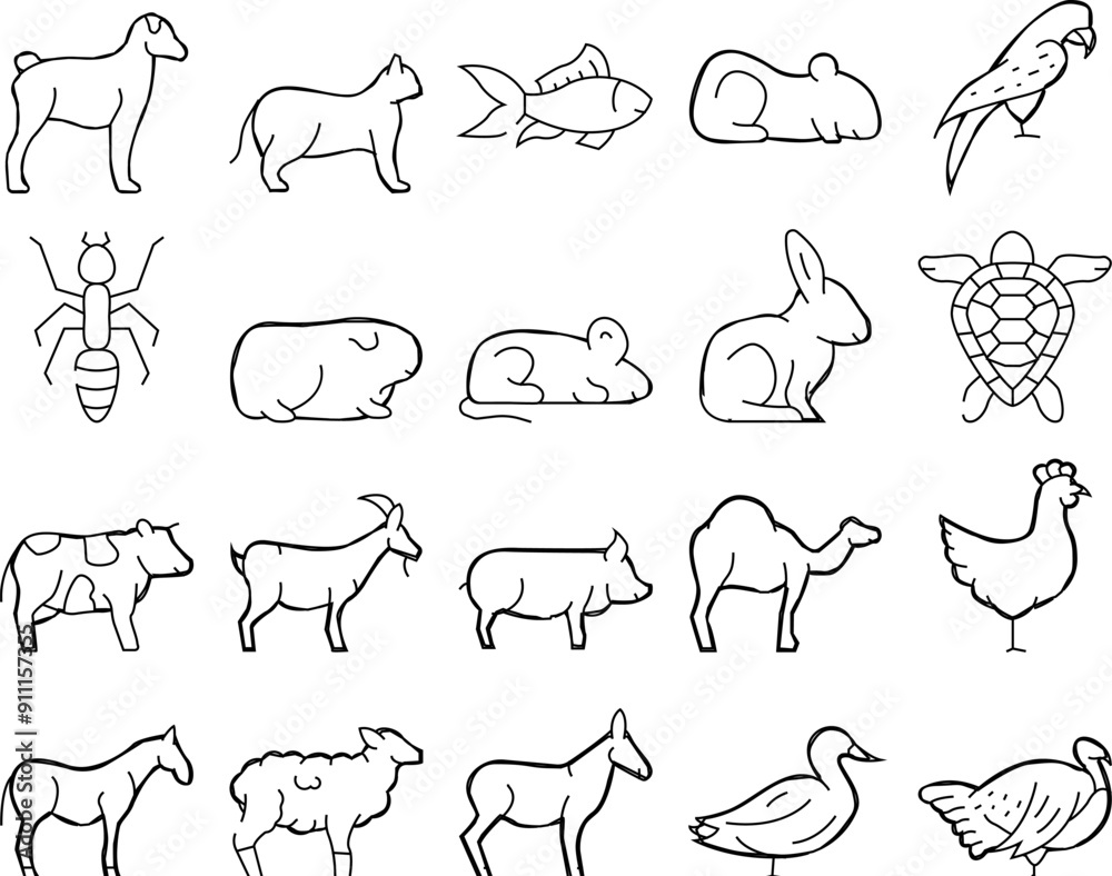 Pet Domestic, Farm And Sea Aqua Icons Set Vector. Mice And Hamster, Dog Puppy And Cat Kitty Pet, Horse And Camel, Parrot And Chicken Bird, Turtle And Aquarium Fish Contour Illustrations Pet Domestic, Farm And Sea Aqua Icons Set Vector. Mice And Hamster, Dog Puppy And Cat Kitty Pet, Horse And Camel, Parrot And Chicken Bird, Turtle And Aquarium Fish Contour Illustrations