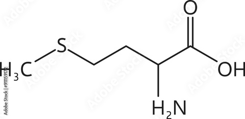 Methionine amino acid chemical molecule, essential chain structure. Nutritional supplement science formula, muscle protein molecule chain or essential amino acid chemical vector structure