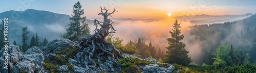 Majestic Sunrise Over Misty Mountain Landscape with Ancient Tree and Dense Forest