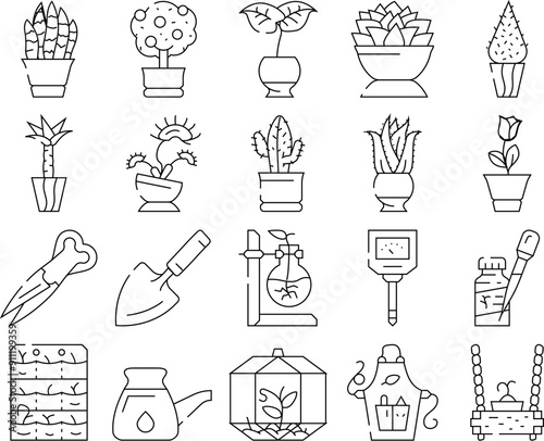Potted Plant And Care Accessories Icons Set Vector. Sansevieria Trifasciata And Citrus Tree, Monstera Deliciosa And Buxus Sempervirens Potted Plant. Florarium Equipment Black Contour Illustrations