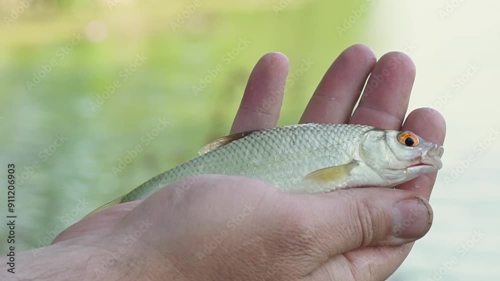 Small catch on a river