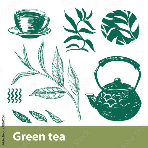 Green tea. Set of images. Teapot, cup, tea leaf. Vector illustration.