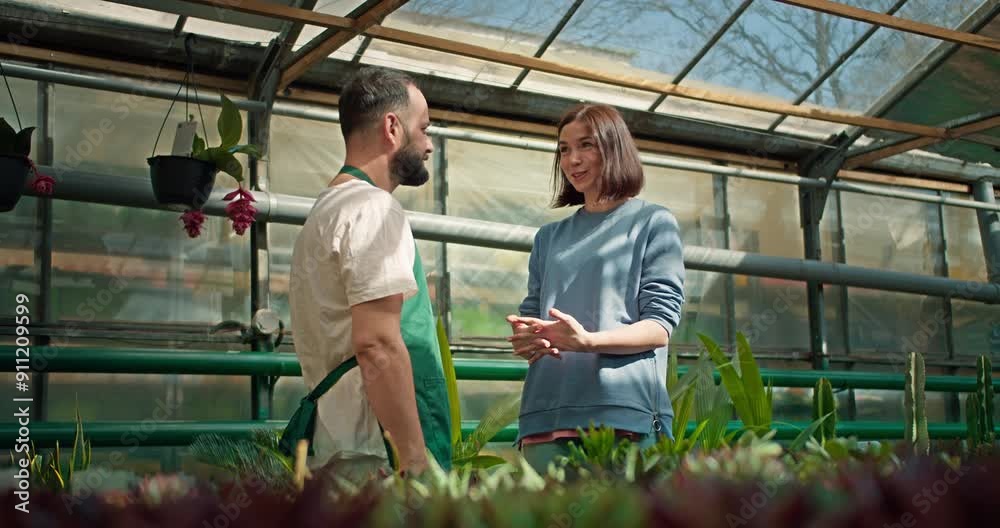 A confident male assistant in a green apron tells a female client about flowers in a greenhouse and flower shop A confident male assistant in a green apron tells a female client about flowers in a greenhouse and flower shop