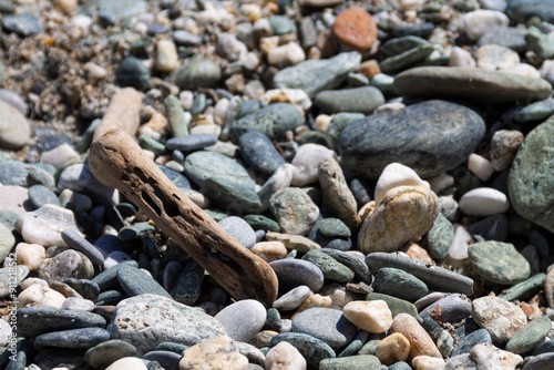 A dry piece of wood washed up on a pebbly seashore. Adobe RGB color profile. Real photo.